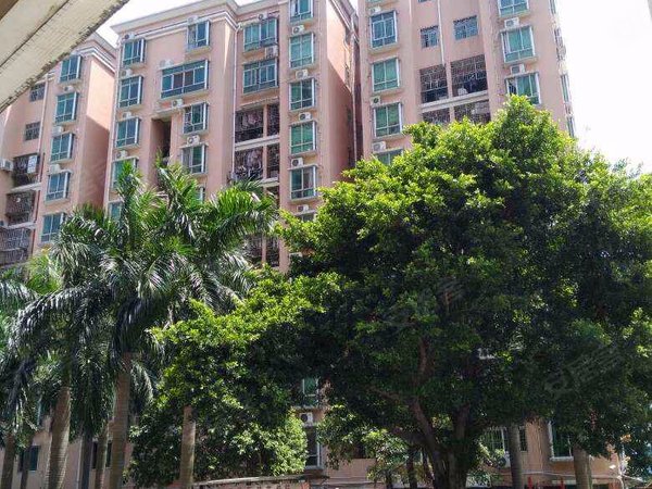 【多图】光雅园,坂田租房,落地窗采光通风好10号线光