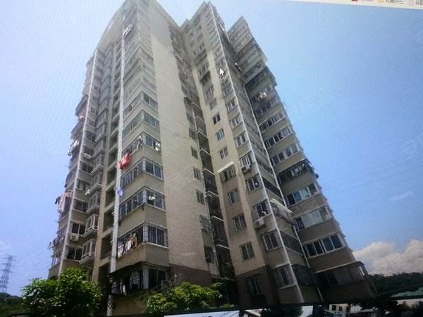 福州晋安东二环登云佳园(南区)登云佳园(南区) 1室1厅1卫出租房源真实