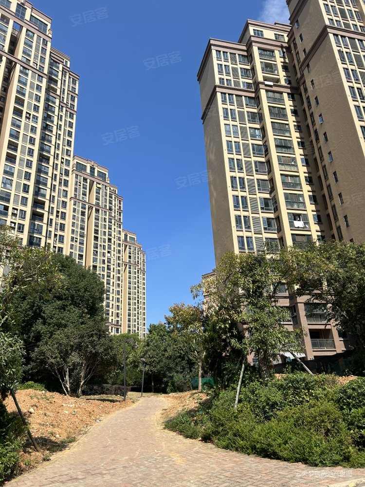 南北通透两房高层老证少税,枫桦苇岸(二期)二手房,50万,2室1厅,1卫