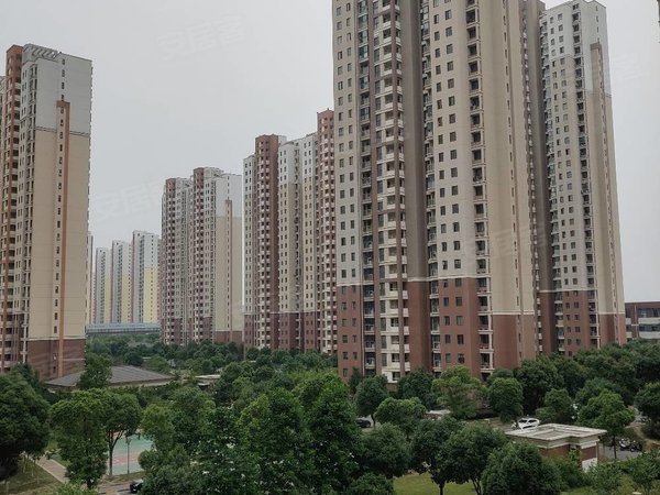 苏州相城高铁新城鑫苑鑫城圆融广场,鑫苑鑫城,4房2厅2卫精装修出租