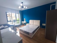 合肥高新客运西站汽车西站 安医附院 美芝制冷 海亮九台别墅 软件园 置地创新出租房源真实图片