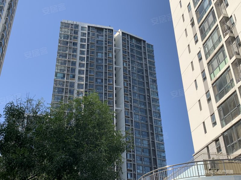 夜景震撼不靠路精装全明通透下楼地铁采光好青建橄榄城