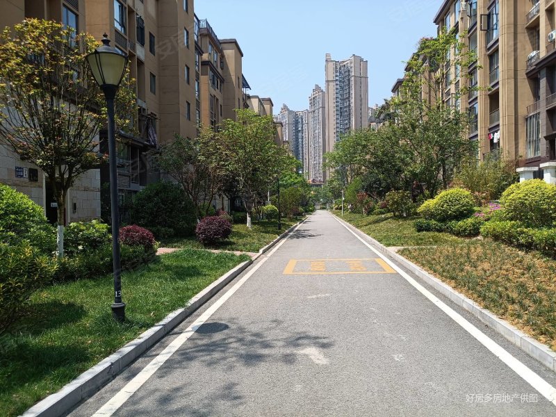 省医旁观府一号 东南朝向 正四房视野开阔可看金融城,观府壹号一组团