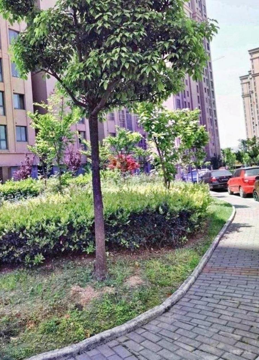 天琪福苑2室2厅1卫86.69㎡南北248万