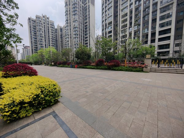 成都都江堰都江堰城区南峰水岸华府可季租 医疗中心旁 精装套三 全屋