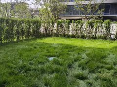 绍兴柯桥柯桥(烟波飞鹭)坂湖旁 带地暖 环境好 带花园出租房源真实图片