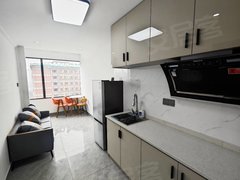 真实价格看中可谈租客退租未来科技城文一西路地铁口精装一室一厅