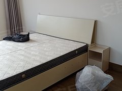 安阳安阳县城区国泰嘉园 1室1厅1卫出租房源真实图片