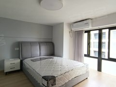 上海浦东临港新城精装一室，配置家具家电一级，拎包入住出租房源真实图片