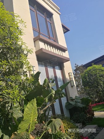 重庆万达文化旅游,滨河大双拼别墅,坡地视野开阔,聚财*