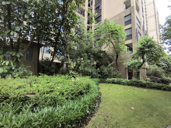 【多图】保利花城,新区租房,哇!