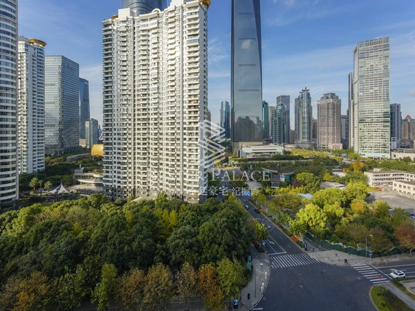 上海浦东陆家嘴仁恒滨江园(一二期)全新装修,现代风年轻化,领包入住