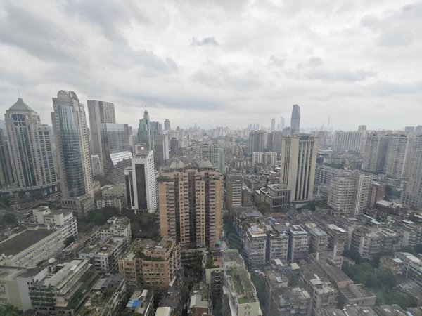 【多图】尚峰国际公寓,公园前租房,公园前电梯两房两厅两卫 尚峰国际