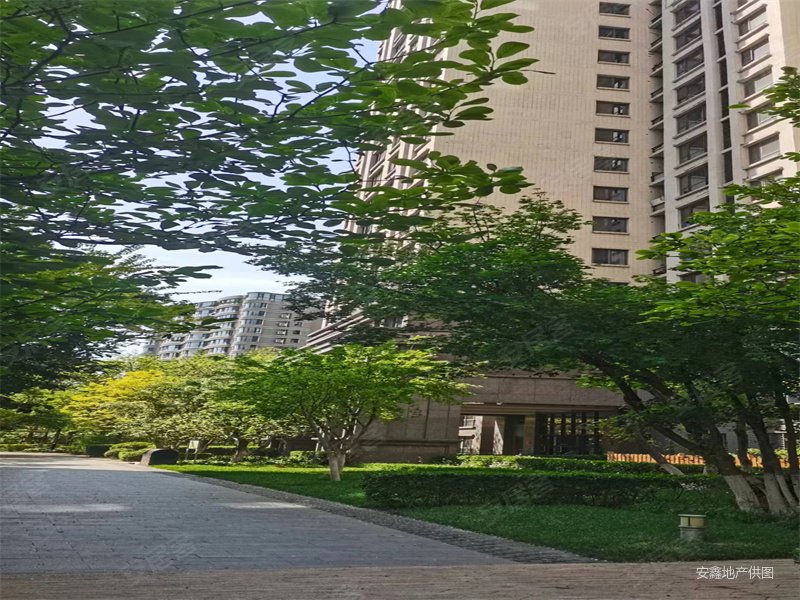 华业玫瑰东方一期 朝南 满五   出行方便 近医院 商圈成熟