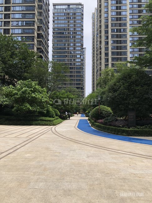 绿城杨柳郡一线江景房视线宽阔