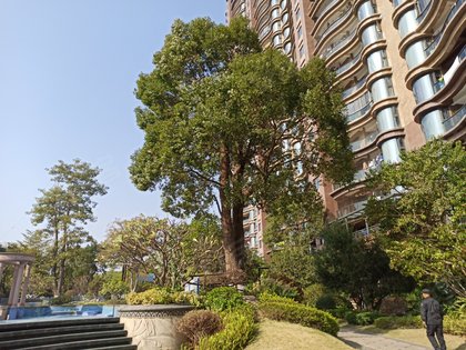 厦门小区 海沧小区 滨海社区小区 一号公馆 一号公馆怎么样特色