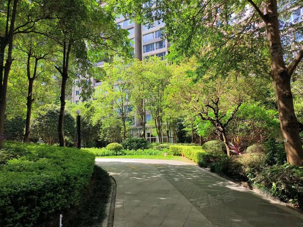 区政府中海吾悦广场附近 5号线地铁口金桥站 盛天东郡,兴宁租房-南宁