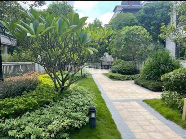 南宁良庆五象大道江山御景(别墅)五象新区别墅出租,可以注册公司商住