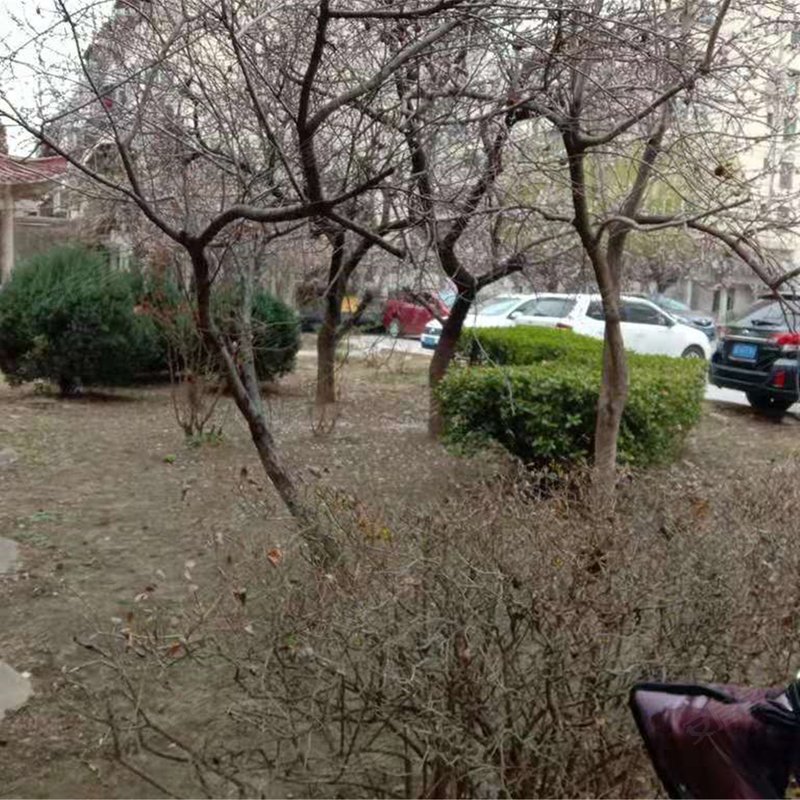 【恒昌花园, 恒昌花园小区详情,房价走势,房源,业主论坛】- 徐州58