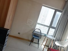 舜天怡宁公寓 1室1厅1卫 34平 电梯房