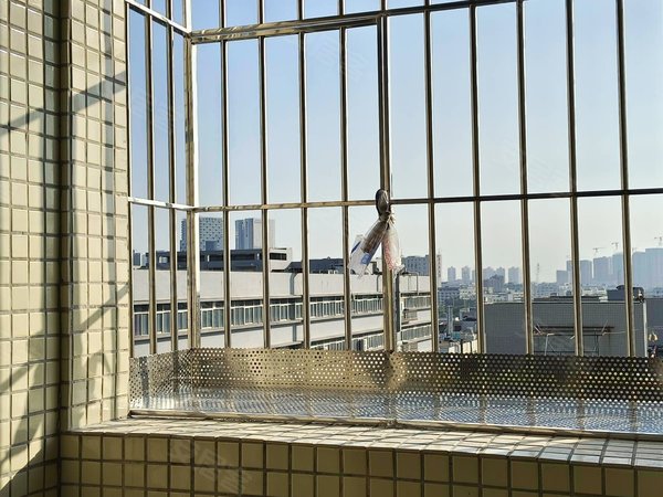 宝安周边租房,塘下涌一村 1室 精装修 配套齐全 电梯房,宝安租房-深圳