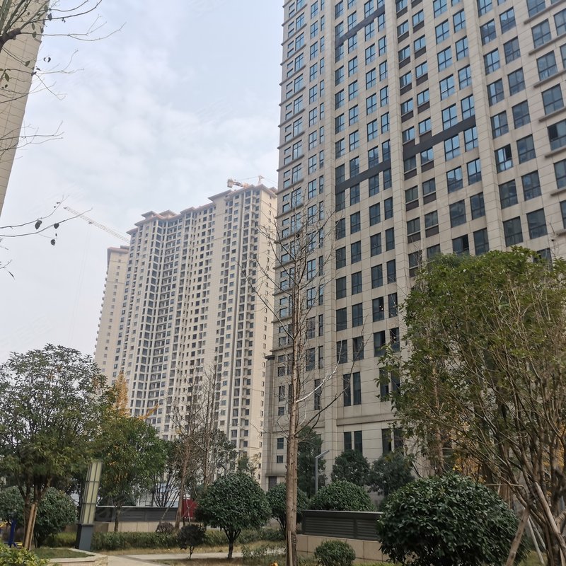 【滨江国际城, 滨江国际城小区详情,房价走势,房源,业主论坛】- 长沙