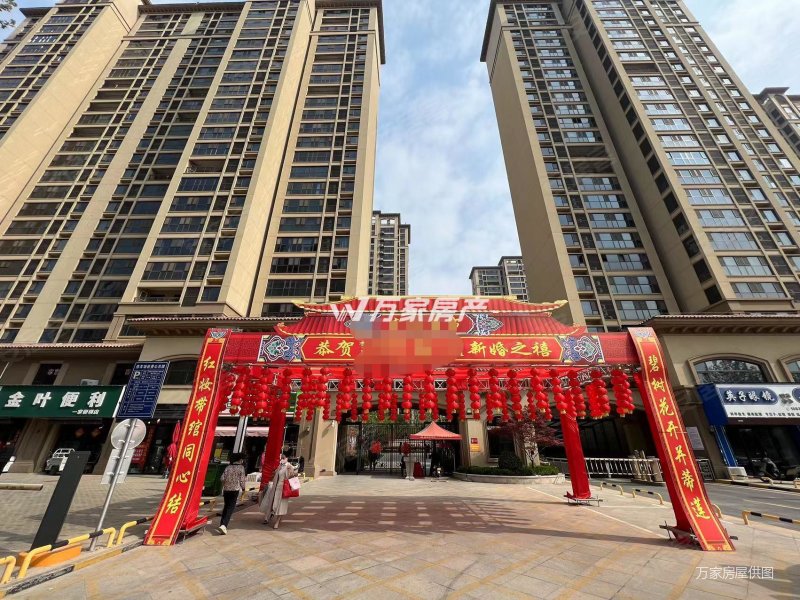 万家力推 橄榄城三期 好楼层 双气 房东包大税 看房方便