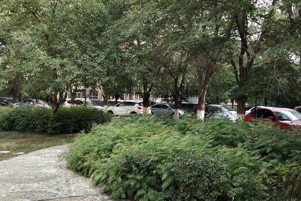 鲤鱼山花园小区