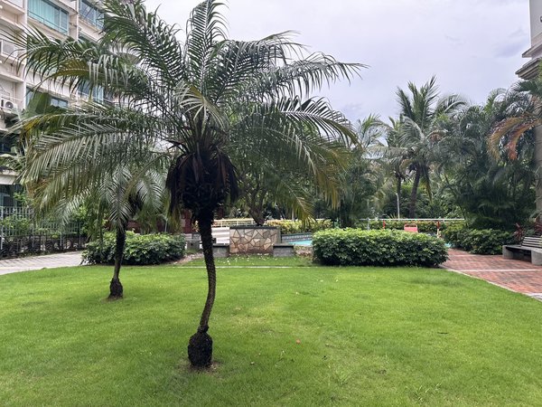 深圳南山蛇口南海玫瑰花园(一期)蛇口首排海景小区上下三层海景洋房大