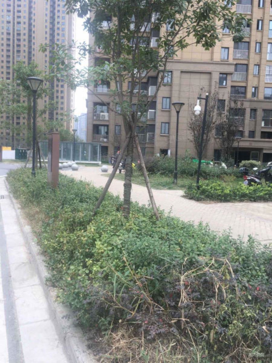 江北自贸区滨江馨园75平精装修80万元好楼层