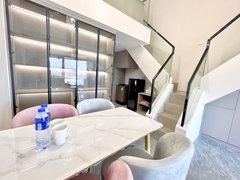 韶关武江新城区保利Loft公寓 一房或2房 全屋订制柜, 有燃气出租房源真实图片