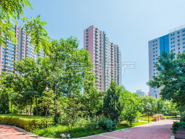 宁津丰和园(19号院)太阳宫  南北通透 临河观景 家具全 可长租大谈