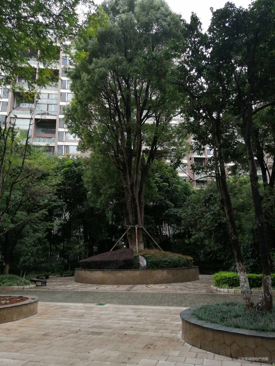 新出 真实 379万带车库车位 房东诚售,金江小区瑞园二手房,379万,5室2