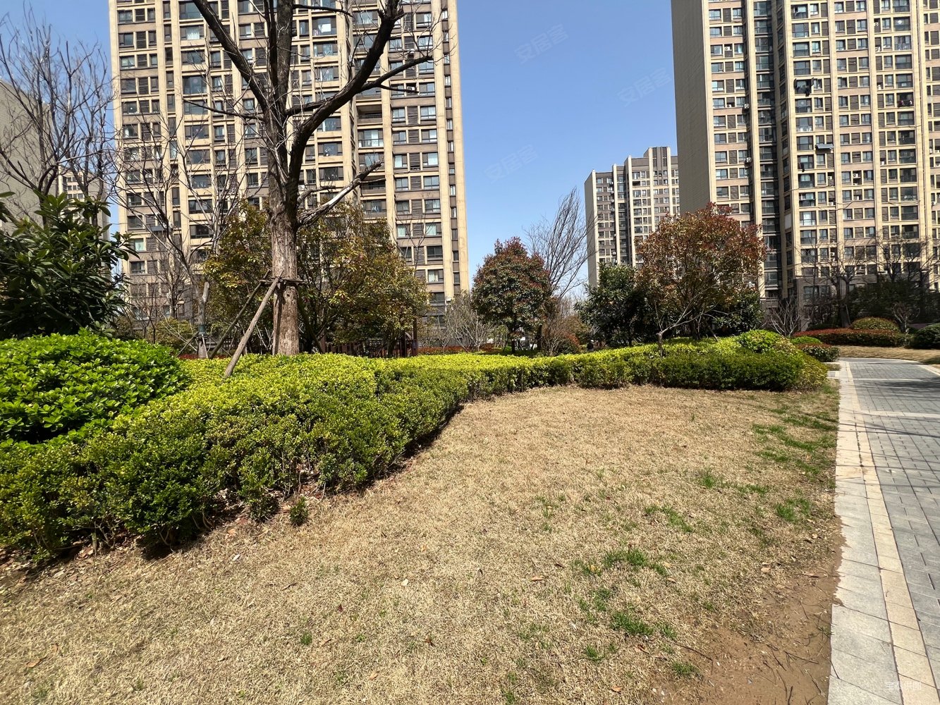 世茂天城南北通透精装三室自住随时过户