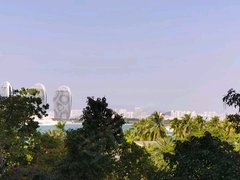 三亚天涯凤凰岛半岛龙湾 1室1厅1卫出租房源真实图片