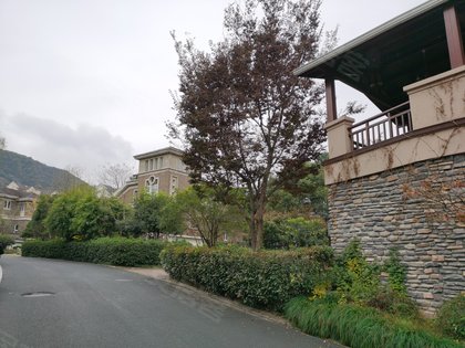 日2人觉得很赞特色【小区户型】绿野春天东区是由住宅别墅排屋组成