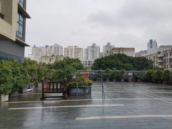 深圳南山南山中心区前海枫叶大厦前海枫叶大厦 业主这两天来深圳了 看