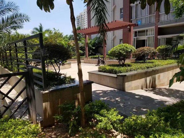 深圳龙华观澜尚品雅居尚品雅居 1室1厅1卫 电梯房 31平 花园小区单身