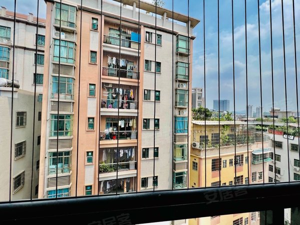 广州白云东平东平村电梯10楼超大单间,独立大阳台,全采光,出行方便