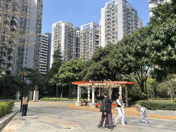 【多图】华南西苑,平湖租房,华南西苑 平层两房 精装 朝南 采光好