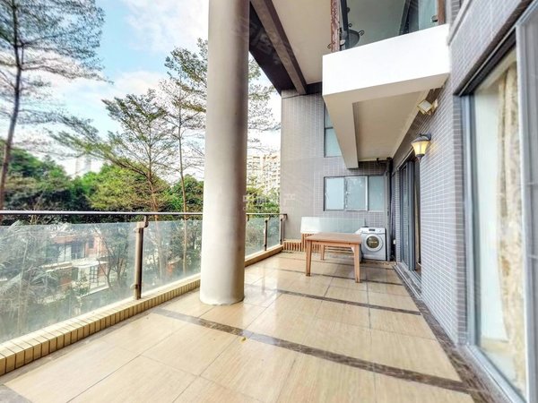 深圳龙华梅林关口星河丹堤星河丹堤e区297平大复式出租,自住办公均可