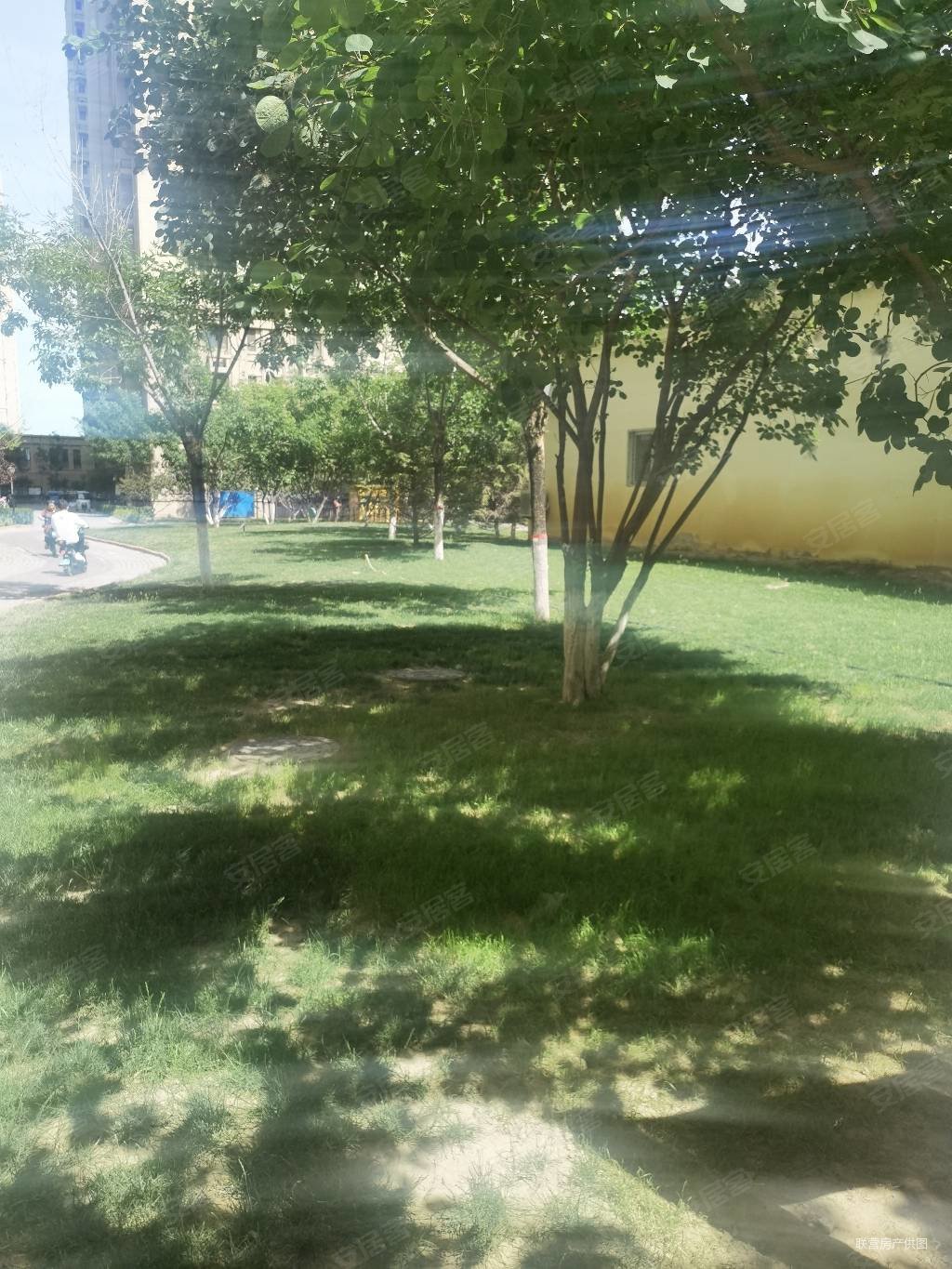 廊坊孔雀城大学里