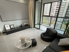 明珠国际城 江南世家 振兴金融大厦旁 精装整租公寓出租。
