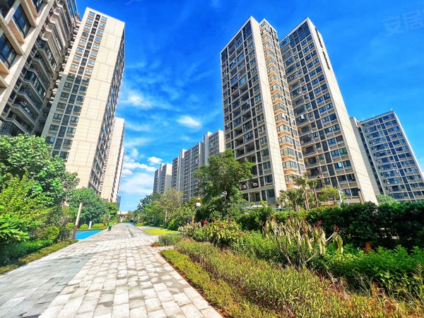 广州花都镜湖大道阳光城兰园翡丽湾(送车位)阳光城 4室 住家装修 南北