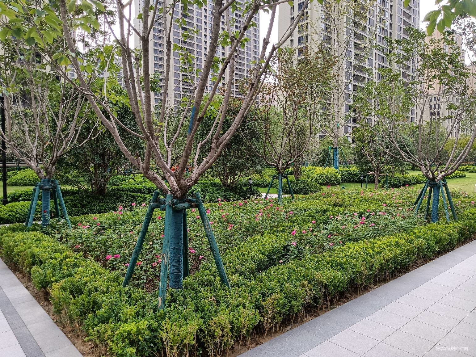 草滩绿城桂语兰庭三室两厅两卫南北房出售