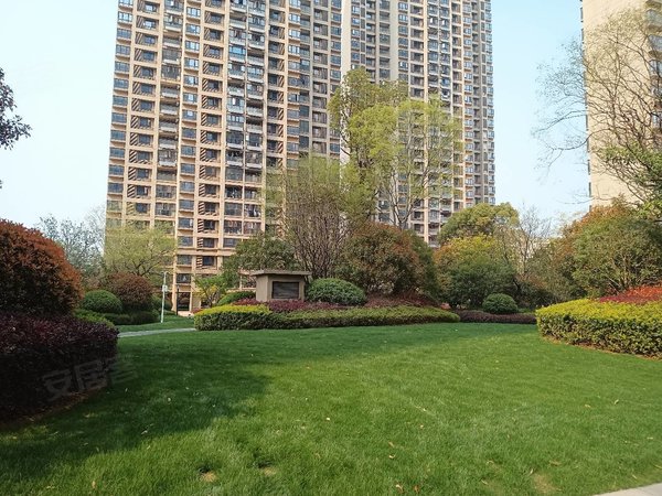 南昌红谷滩祥云大道新力禧园新力禧园 居家装修 出租出租房源真实图片