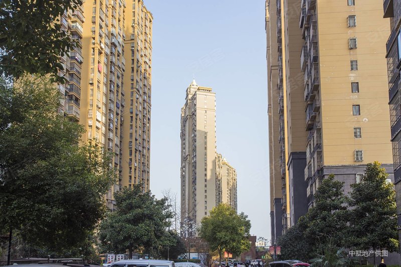 来安花园通小叁拾捌中,南北通透,价格真实,临地铁