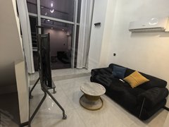 合肥政务奥体中心政务中心 天鹅湖东 蔚蓝商务港旁 
天鹅湖Moma 精装复式出租房源真实图片