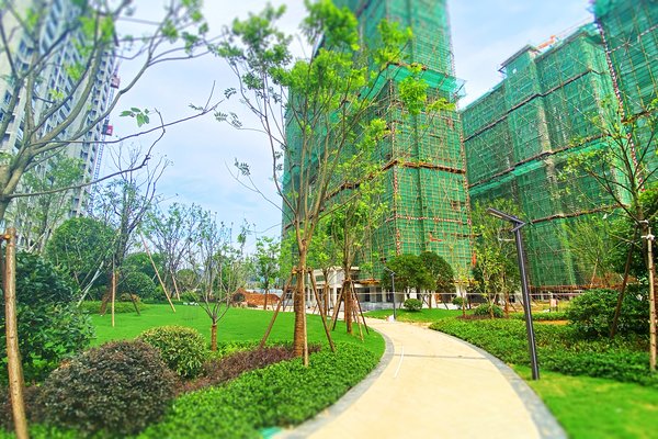 公园壹号院,环湖东路-黄石公园壹号院二手房,租房-黄石安居客