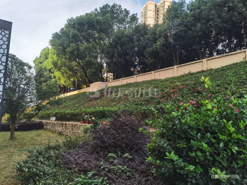 亏25万 3房2阳台,万佳半山学府二手房,96万,3室2厅,2卫,111平米-宜昌